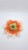 Gemini_Generated_Image_uy6mihuy6mihuy6m.jpeg