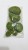 Gemini_Generated_Image_jfx25ijfx25ijfx2.jpeg