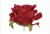 Screenshot_20260917_192129_Chrome~2.jpg